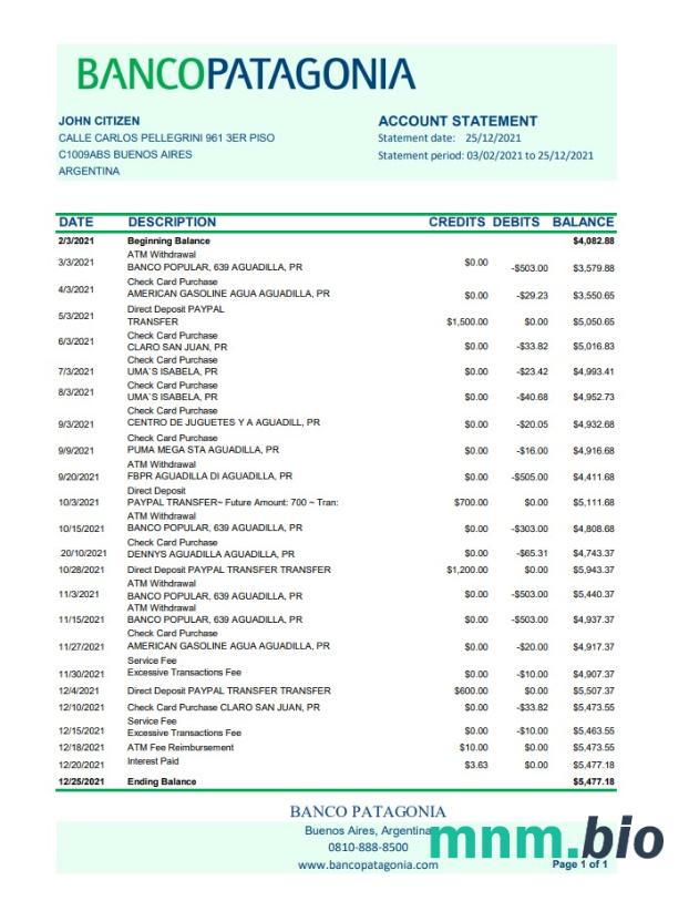 Argentyna Banco Patagonia szablon wyciągu bankowego w programie Word i PDF